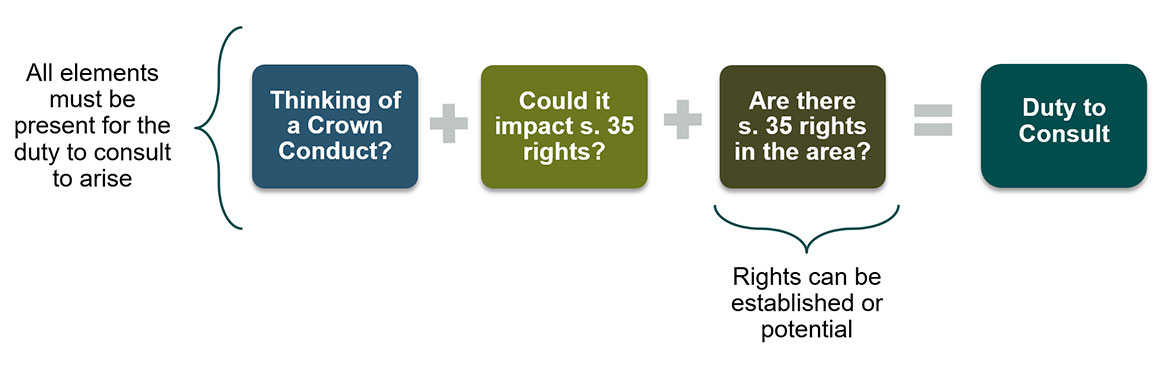 What is the duty to consult?