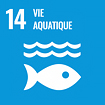 Objectif 14 : Vie aquatique