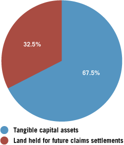 Non-Financial Assets by Type