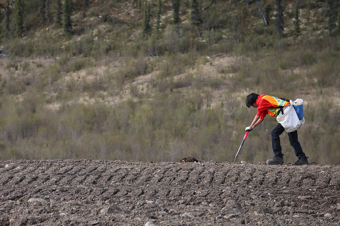 Aiden Smith, de l'équipe de la revégétalisation, prépare le sol pour la plantation.