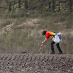 Revegetation worker Aiden Smith prepares the soil for planting. 