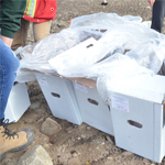 Des boîtes de semis à Tsē Zūl.