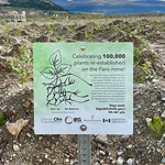 Commemorative plaque celebrating 100,000 plants being re-established at Tsē Zūl.
