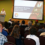 Workshop delegates sitting in an audience, watching a speaker onstage.