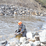 Joe Marquardson remettant un poisson dans le ruisseau